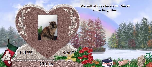 Citrus's Rainbow Bridge Pet Loss Memorial Residency Image