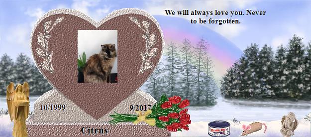 Citrus's Rainbow Bridge Pet Loss Memorial Residency Image