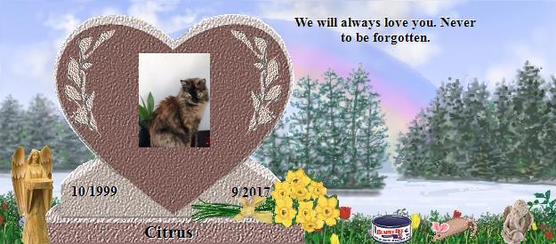 Citrus's Rainbow Bridge Pet Loss Memorial Residency Image