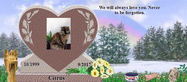 Citrus's Rainbow Bridge Pet Loss Memorial Residency Image