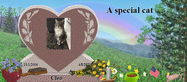 Cleo's Rainbow Bridge Pet Loss Memorial Residency Image