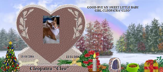 Cleopatra "Cleo"'s Rainbow Bridge Pet Loss Memorial Residency Image