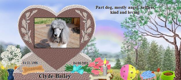 Clyde-Bailey's Rainbow Bridge Pet Loss Memorial Residency Image