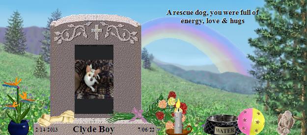 Clyde Boy's Rainbow Bridge Pet Loss Memorial Residency Image