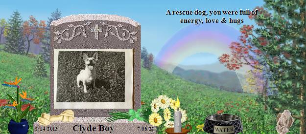 Clyde Boy's Rainbow Bridge Pet Loss Memorial Residency Image