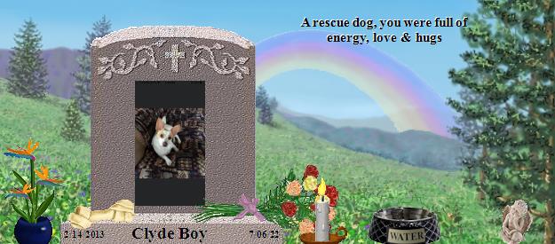 Clyde Boy's Rainbow Bridge Pet Loss Memorial Residency Image