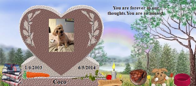 Coco's Rainbow Bridge Pet Loss Memorial Residency Image