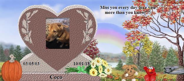 Coco's Rainbow Bridge Pet Loss Memorial Residency Image