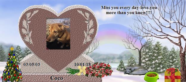 Coco's Rainbow Bridge Pet Loss Memorial Residency Image