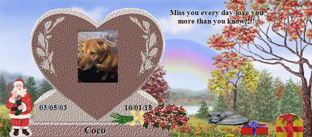 Coco's Rainbow Bridge Pet Loss Memorial Residency Image