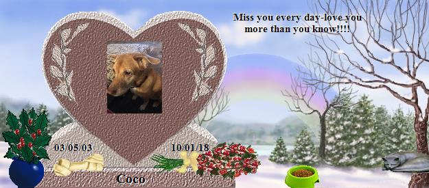 Coco's Rainbow Bridge Pet Loss Memorial Residency Image