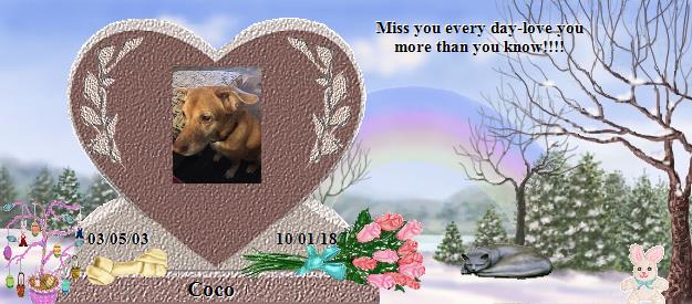 Coco's Rainbow Bridge Pet Loss Memorial Residency Image