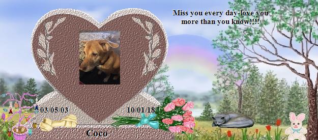 Coco's Rainbow Bridge Pet Loss Memorial Residency Image