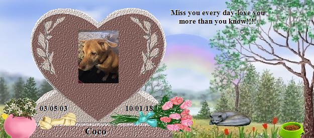 Coco's Rainbow Bridge Pet Loss Memorial Residency Image