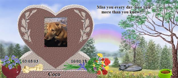 Coco's Rainbow Bridge Pet Loss Memorial Residency Image
