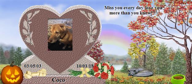 Coco's Rainbow Bridge Pet Loss Memorial Residency Image