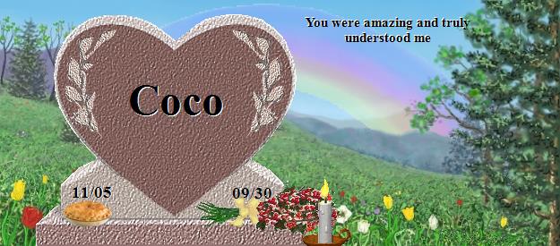 Coco's Rainbow Bridge Pet Loss Memorial Residency Image