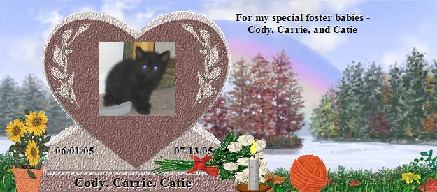 Cody, Carrie, Catie's Rainbow Bridge Pet Loss Memorial Residency Image
