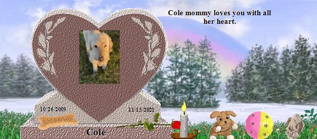 Cole's Rainbow Bridge Pet Loss Memorial Residency Image