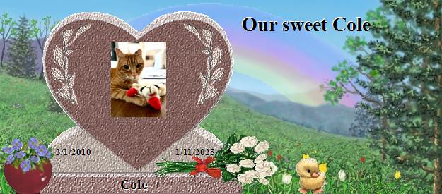 Cole's Rainbow Bridge Pet Loss Memorial Residency Image