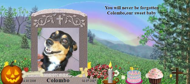 Colombo's Rainbow Bridge Pet Loss Memorial Residency Image