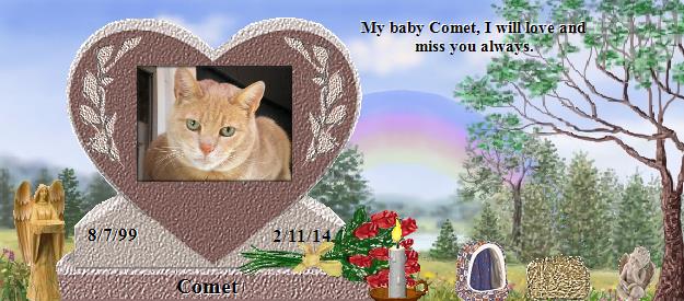 Comet's Rainbow Bridge Pet Loss Memorial Residency Image