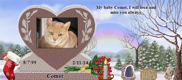 Comet's Rainbow Bridge Pet Loss Memorial Residency Image