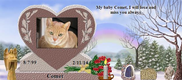 Comet's Rainbow Bridge Pet Loss Memorial Residency Image