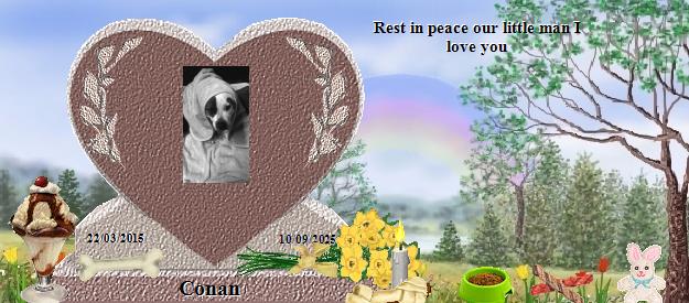 Conan's Rainbow Bridge Pet Loss Memorial Residency Image