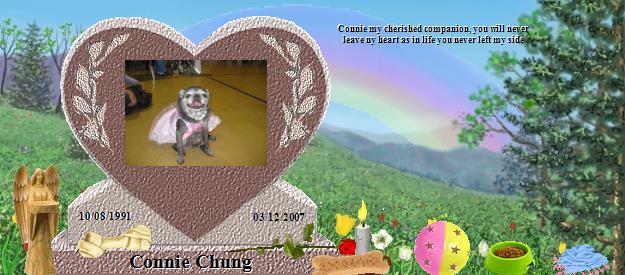Connie Chung's Rainbow Bridge Pet Loss Memorial Residency Image