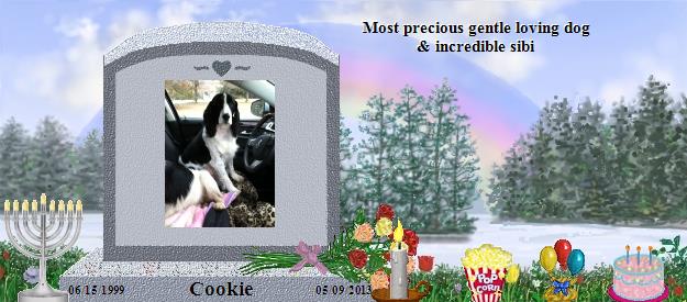 Cookie's Rainbow Bridge Pet Loss Memorial Residency Image