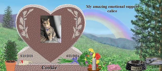 Cookie's Rainbow Bridge Pet Loss Memorial Residency Image
