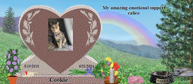 Cookie's Rainbow Bridge Pet Loss Memorial Residency Image