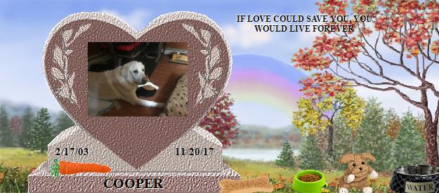 COOPER's Rainbow Bridge Pet Loss Memorial Residency Image