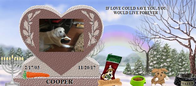 COOPER's Rainbow Bridge Pet Loss Memorial Residency Image