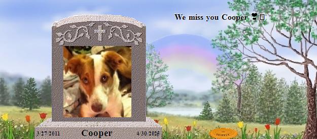 Cooper's Rainbow Bridge Pet Loss Memorial Residency Image