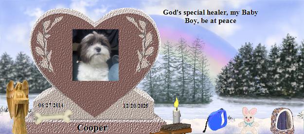 Cooper's Rainbow Bridge Pet Loss Memorial Residency Image
