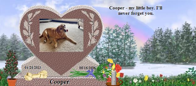 Cooper's Rainbow Bridge Pet Loss Memorial Residency Image