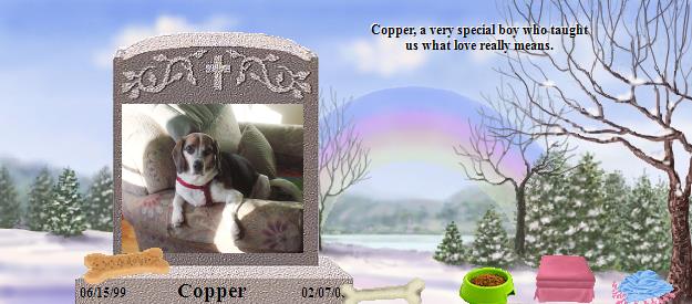 Copper's Rainbow Bridge Pet Loss Memorial Residency Image