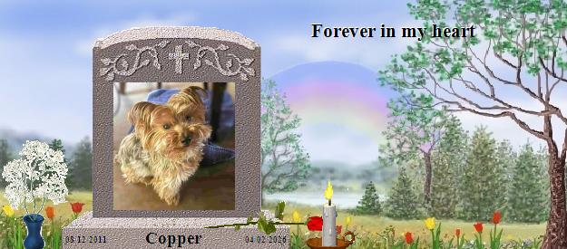 Copper's Rainbow Bridge Pet Loss Memorial Residency Image
