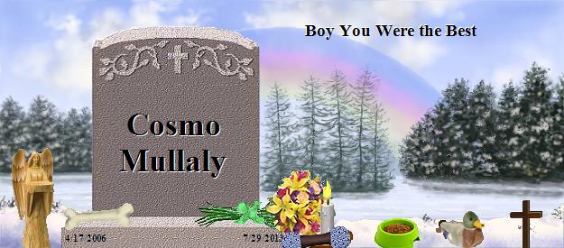 Cosmo Mullaly's Rainbow Bridge Pet Loss Memorial Residency Image