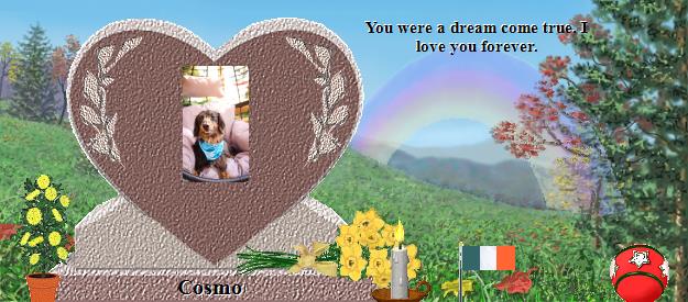 Cosmo's Rainbow Bridge Pet Loss Memorial Residency Image