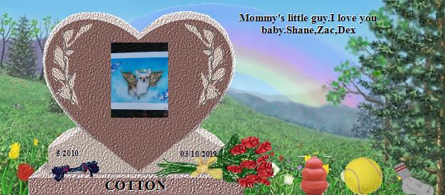 COTTON's Rainbow Bridge Pet Loss Memorial Residency Image