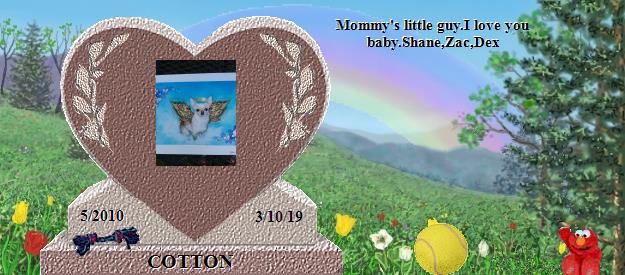 COTTON's Rainbow Bridge Pet Loss Memorial Residency Image