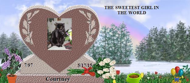 Courtney's Rainbow Bridge Pet Loss Memorial Residency Image