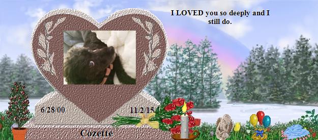 Cozette's Rainbow Bridge Pet Loss Memorial Residency Image