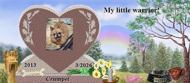Crumpet's Rainbow Bridge Pet Loss Memorial Residency Image