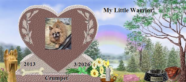 Crumpet's Rainbow Bridge Pet Loss Memorial Residency Image