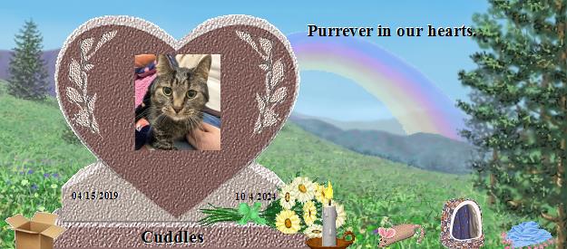 Cuddles's Rainbow Bridge Pet Loss Memorial Residency Image