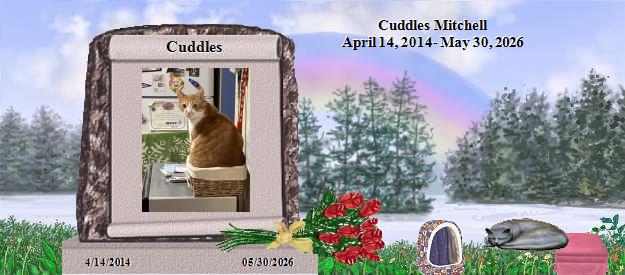 Cuddles's Rainbow Bridge Pet Loss Memorial Residency Image